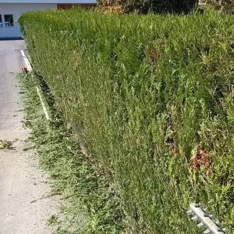 Chantier — Chantier — Bassoues (32320) — Bassoues (32320)